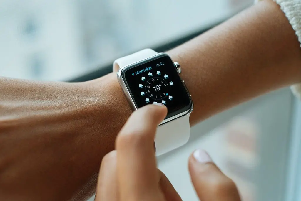 apple brand smartwatch