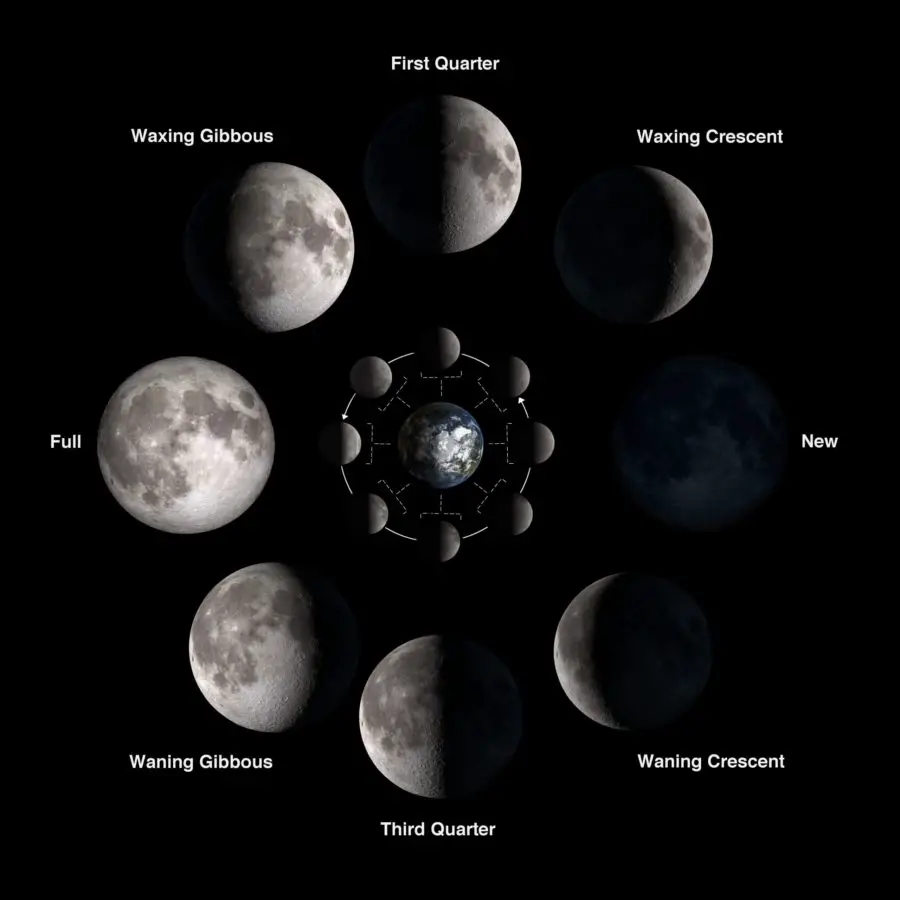 The different phases of the Moon